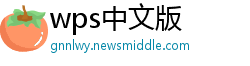 wps中文版